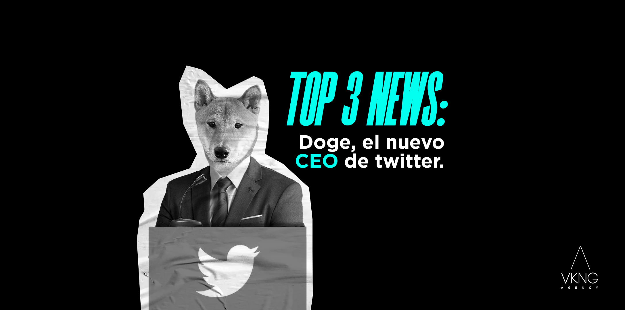 Preview blog: Top 3 News:Doge, el nuevo CEO de twitter